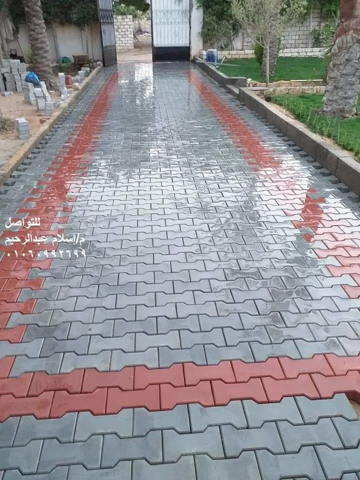 صورة 3